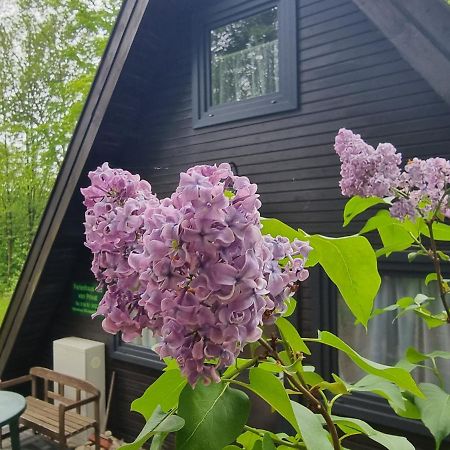 Ferienhaus Marie 125 Bad Arolsen Eksteriør bilde