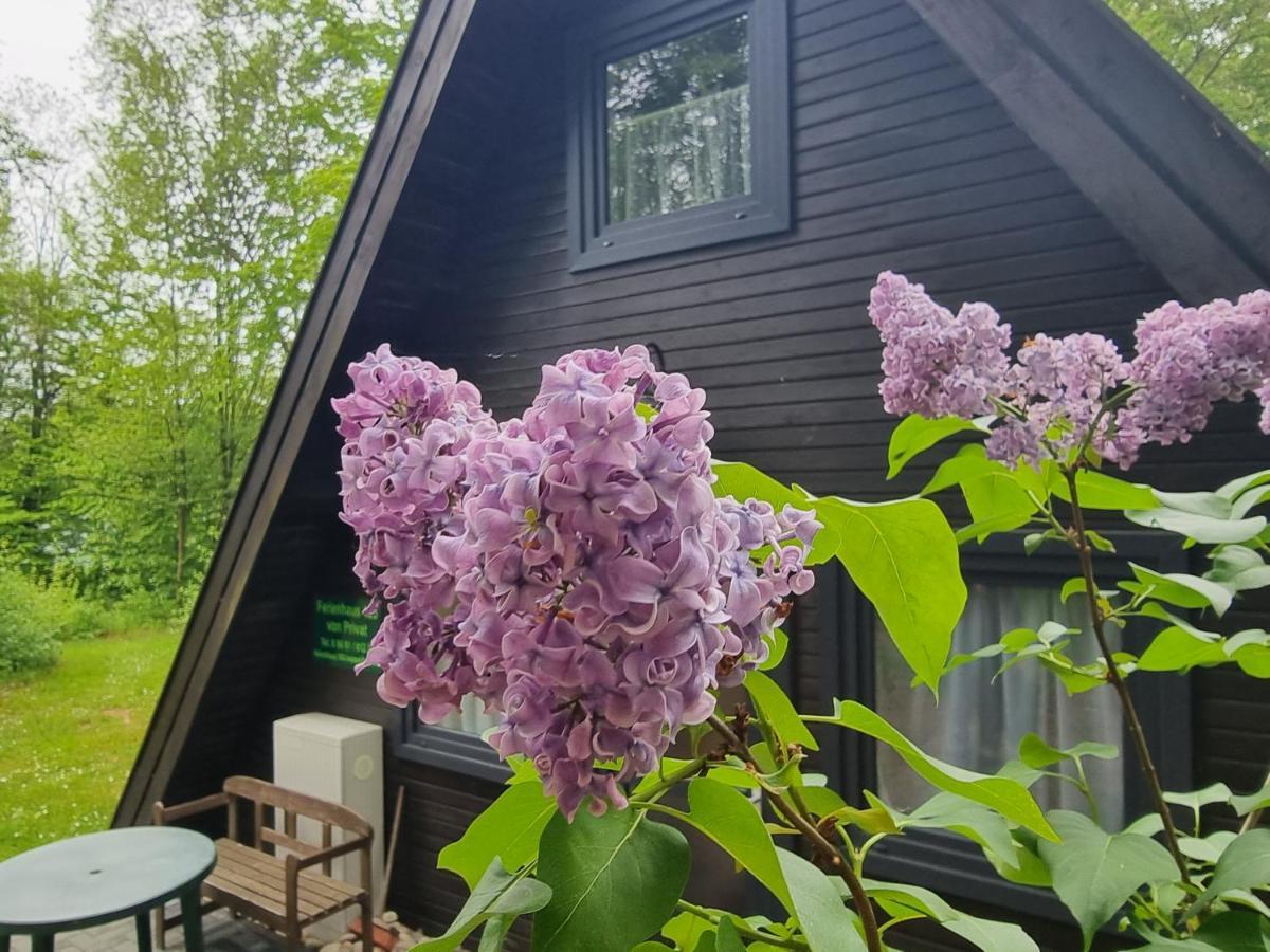 Ferienhaus Marie 125 Bad Arolsen Eksteriør bilde